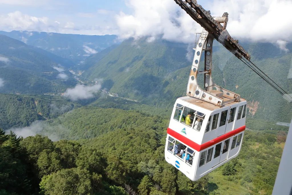 小众旅游胜地!因「你的名字」而闻名的岐阜,究竟还有哪里值得去? 小众旅游胜地!因「你的名字」而闻名的岐阜,究竟还有哪里值得去?