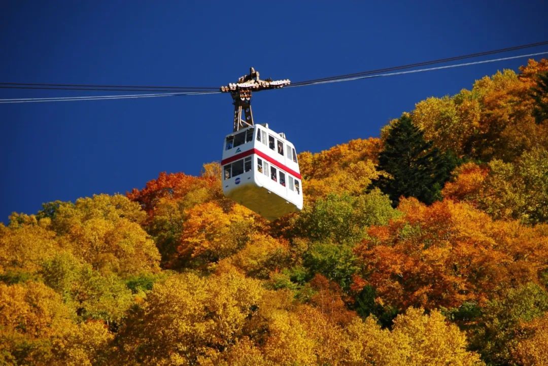 小众旅游胜地!因「你的名字」而闻名的岐阜,究竟还有哪里值得去? 小众旅游胜地!因「你的名字」而闻名的岐阜,究竟还有哪里值得去?