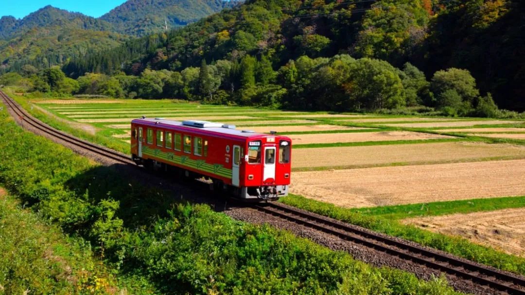 " 忠犬八公" 的故乡秋田,除了汪星人还有什么可玩的?
