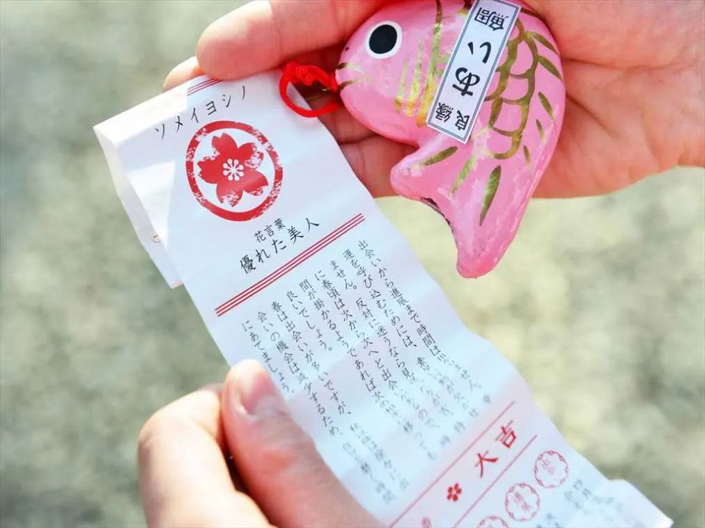 全日本被 地图炮 得最惨的城市 为什么让人想一去再去 日本通 全日本被 地图炮 得最惨的城市 为什么让人想一去再去 日本通