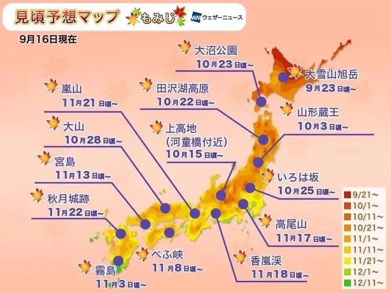 2020第一波枫叶前线来了！今年日本最美的枫叶去哪里看？