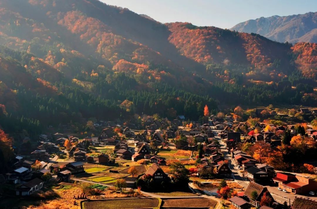 入秋后的日本，还有什么好看的？