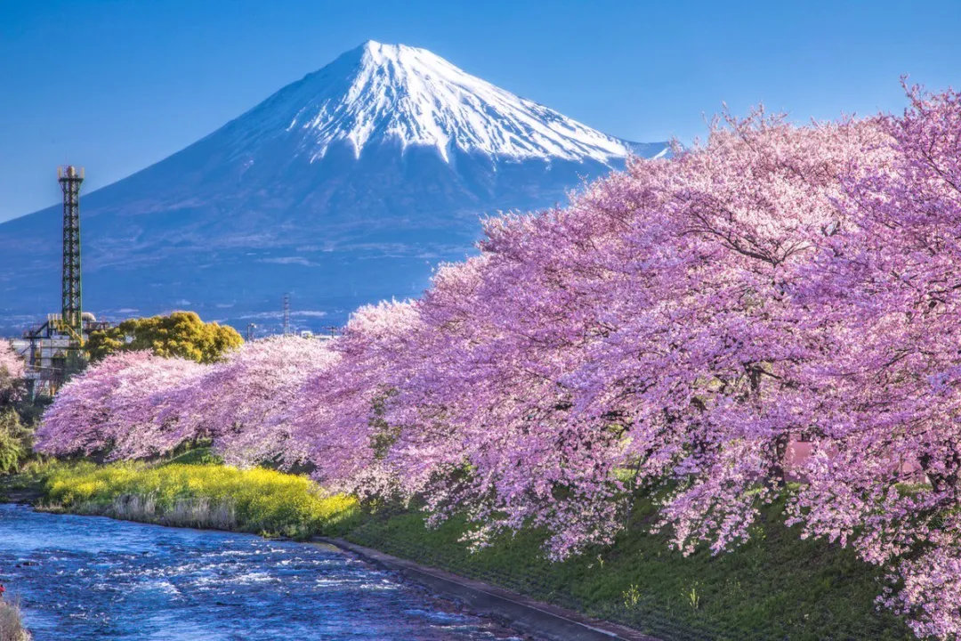 日本旅行错峰出游指南