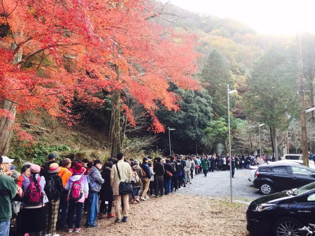 日本旅行错峰出游指南