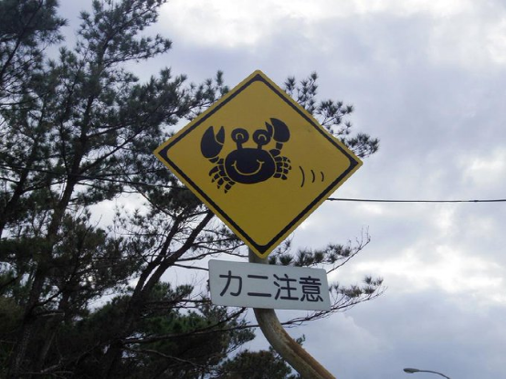 日本路标全解析，有些连日本人都认不全！