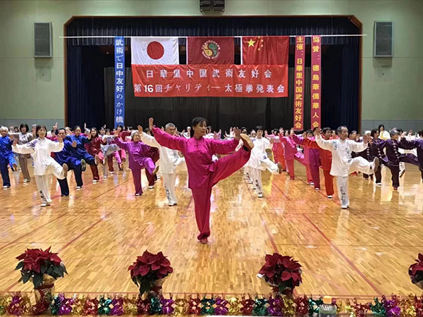 助力中国太极拳文化走向世界的“侠女”